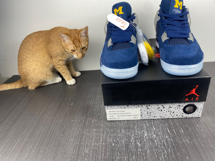AIR JORDAN 4 RETRO