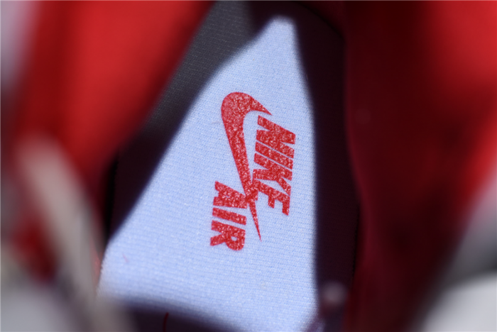 jordan 1 retro high phanT0m gym red - 555088-160