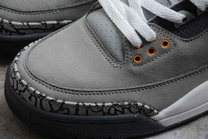Air Jordan 3 "Cool Grey"(2021) CT8532-012